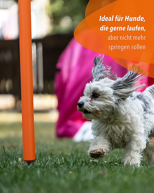 Hoop aus Kunststoff, orange/bunt